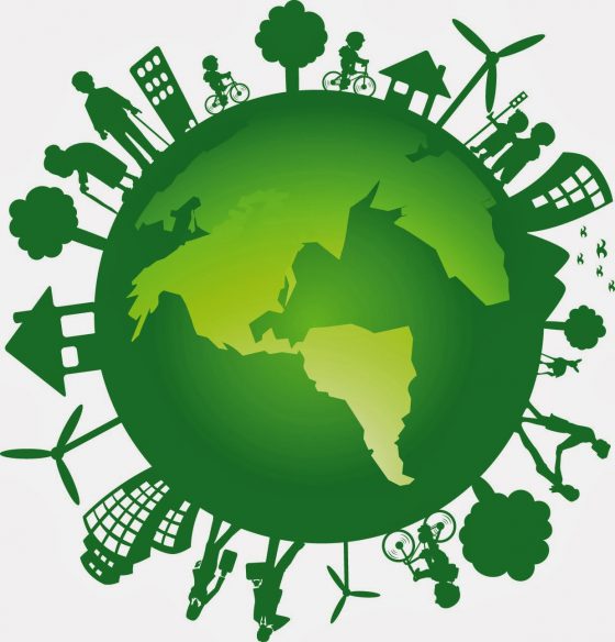 Meio ambiente e ENEM: a combinação perfeita!